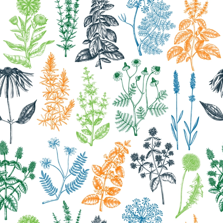 Seamless botanical pattern with wild flowers. Floral background with medicinal herbs. Engraved style hand drawn herbal plants backdrop. Floral vector illustration. Endless texture design.